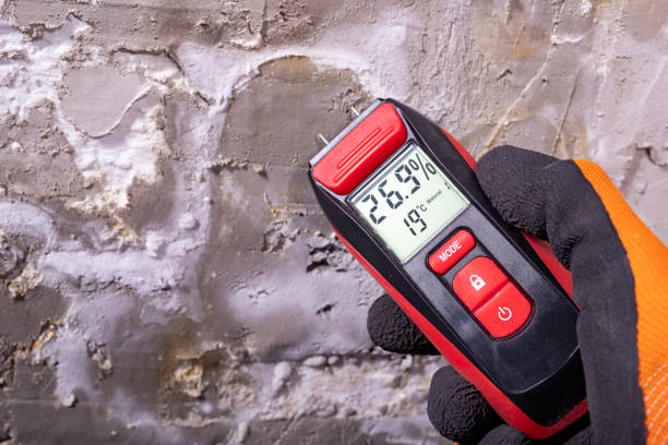 Best Mold Removal Company Near Me  in Camp Swift, TX