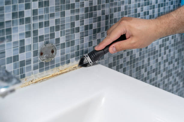 Best Affordable Mold Removal  in Camp Swift, TX