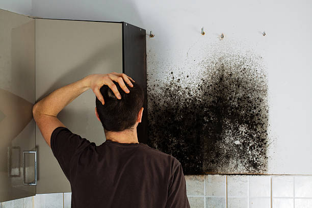 Best Toxic Mold Removal  in Camp Swift, TX
